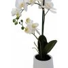 Potted 2 Spray Orchid In White Pot -Fashion Clothing Store 11c966789b58fbf8aa52bb03105b89dd18c3e8c4