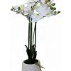 Potted 3 Spray Orchid In White Pot -Fashion Clothing Store 11fd2f2c776b874c313b9dad33aae754b56a45fc