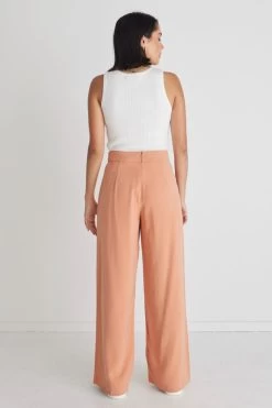 Effortless Peach Viscose Deep Band Wide Leg Pant 9 Effortless Peach Viscose Deep Band Wide Leg Pant -Fashion Clothing Store 6D17A054 273A 4850 ABA3 AAF67289A122 1 105 c