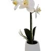 Potted 1 Spray Orchid In White Pot -Fashion Clothing Store 705d6a27c2c72ed06d0d915c4001cea9645b9c7e