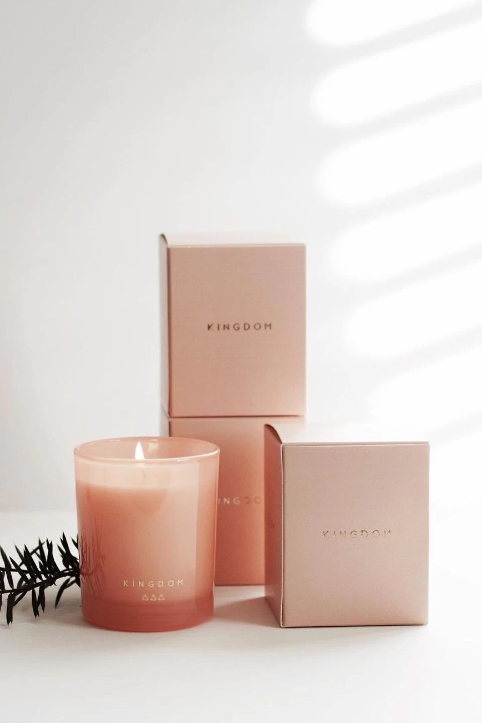 Fig BergamotCandle Nude Series Luxury Soy 120g 4 Fig BergamotCandle Nude Series Luxury Soy 120g - Image 2
