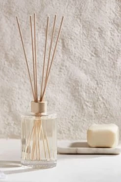 CH Mango + Papaya Diffuser 250ml 6 CH Mango + Papaya Diffuser 250ml -Fashion Clothing Store C Refresh Secondary Banners 2048x2048px 21 2048x2048 2360e870 13c9 423e b631 6a18942a9d27