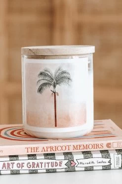 Palm India 600g 80hr Soy Candle 5 Palm India 600g 80hr Soy Candle -Fashion Clothing Store IMG 34932 1024x1024 1