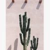 Pink Cacti White Framed A2 Print 1 Pink Cacti White Framed A2 Print -Fashion Clothing Store PINKCACTI