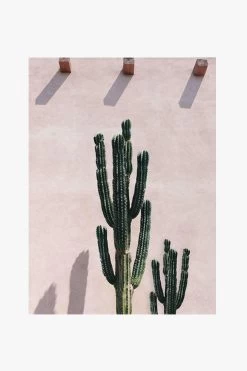 Pink Cacti White Framed A2 Print