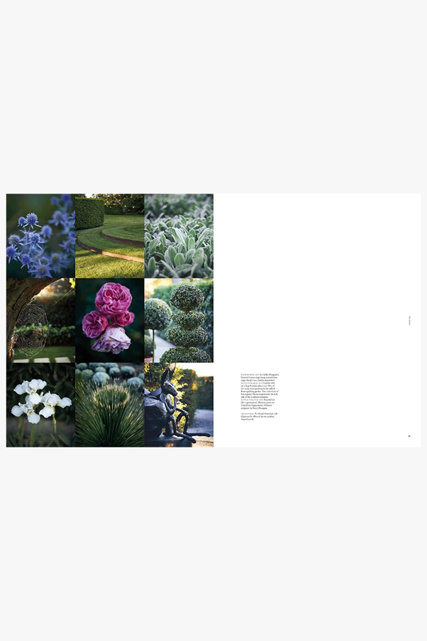 Suzanne Turley: Private Gardens Of Aotearoa EOL 5 Suzanne Turley: Private Gardens Of Aotearoa EOL - Image 3