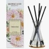 Reed Diffuser Set French Pear 1 Reed Diffuser Set French Pear -Fashion Clothing Store georgeandedireeddiffuserfrenchpear