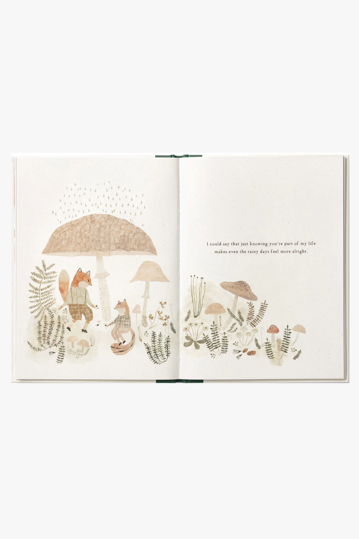 More Than A Little Appreciation Book 5 More Than A Little Appreciation Book - Image 3