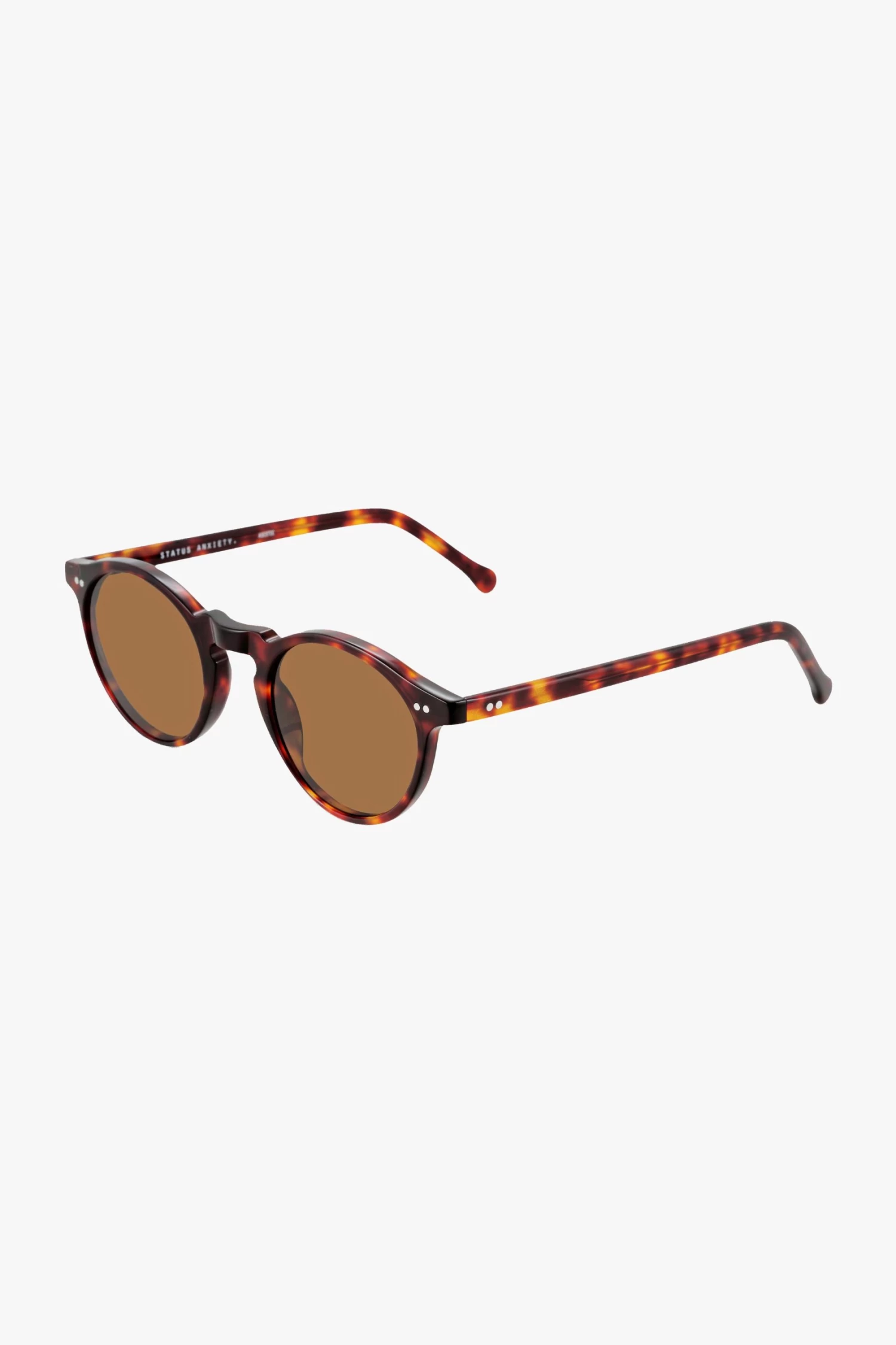 Ascetic Brown Tort Round Sunglasses 5 Ascetic Brown Tort Round Sunglasses - Image 3
