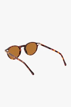 Ascetic Brown Tort Round Sunglasses 9 Ascetic Brown Tort Round Sunglasses -Fashion Clothing Store tortsunnies2