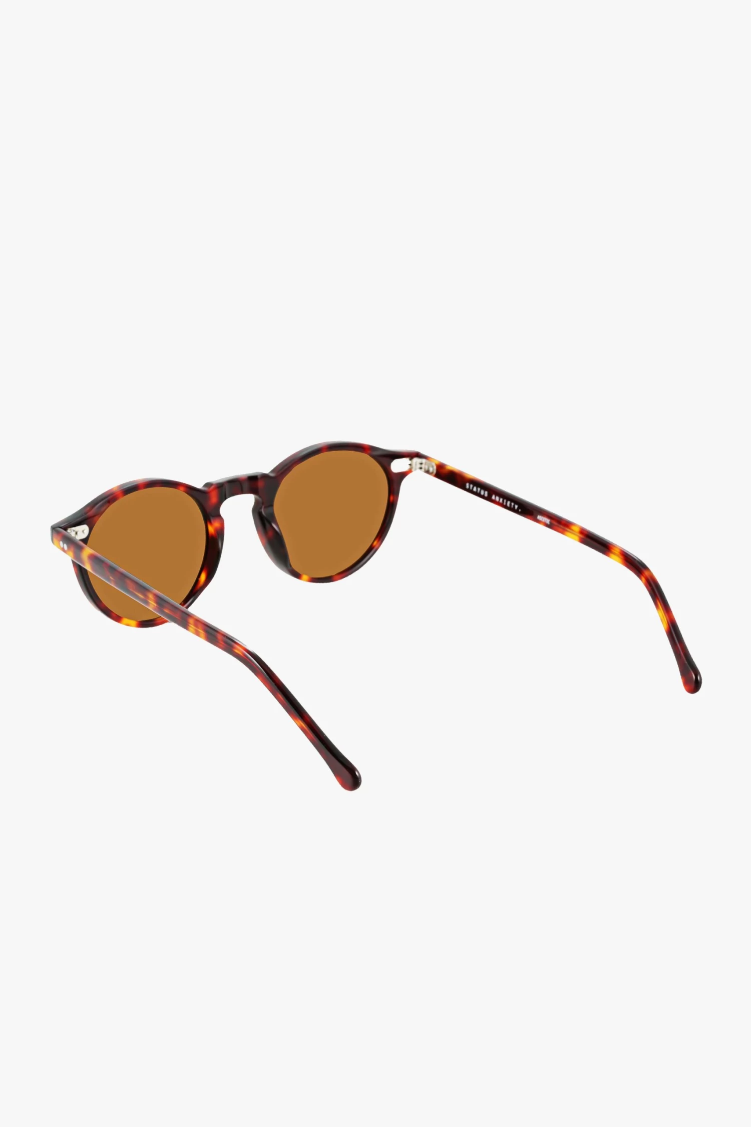 Ascetic Brown Tort Round Sunglasses 6 Ascetic Brown Tort Round Sunglasses - Image 4