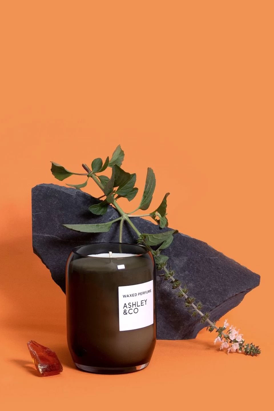 Natural Waxed Vine + Paisley Perfume Candle EOL 4 Natural Waxed Vine + Paisley Perfume Candle EOL - Image 2