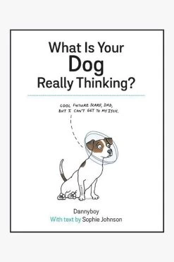 What Is Your Dog Really Thinking?